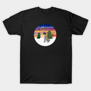 Santa's Sunset Take Off Featuring a Black Mouth Cur T-Shirt